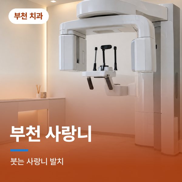 부천 사랑니